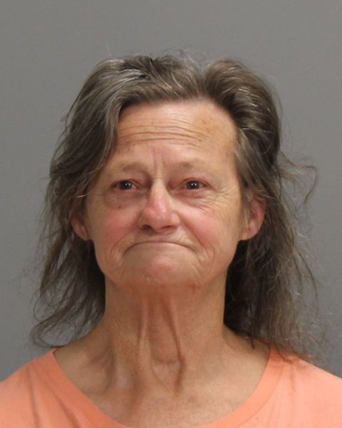 CARMAN, MARY CATHERINE arrest record in Brazos County, Texas CARMAN, MARY CATHERINE arrested in Brazos County, Texas mugshot