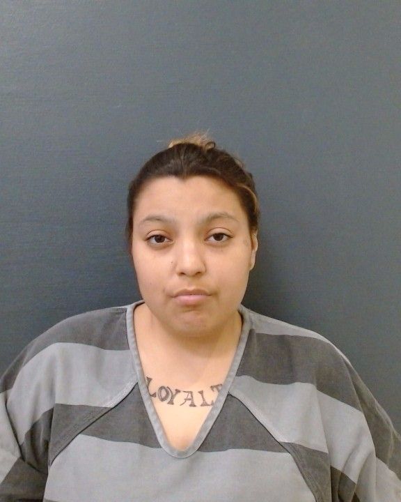 GARIBAY, RUBY ANN MARIE arrest record in Comal County, Texas GARIBAY, RUBY ANN MARIE arrested in Comal County, Texas mugshot