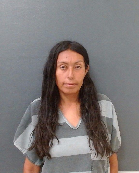 MCKENZIE, ADRIANA LYNN arrest record in Comal County, Texas MCKENZIE, ADRIANA LYNN arrested in Comal County, Texas mugshot