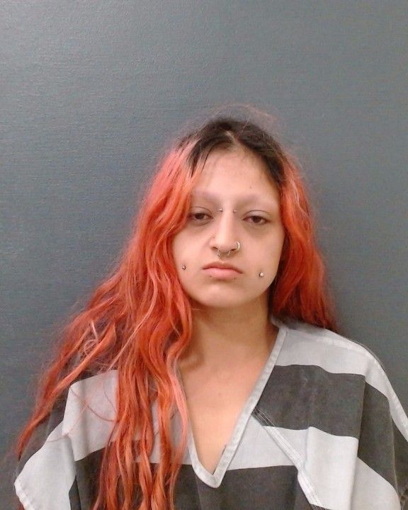 GARCIA, HEATHER MARIE arrest record in Comal County, Texas GARCIA, HEATHER MARIE arrested in Comal County, Texas mugshot
