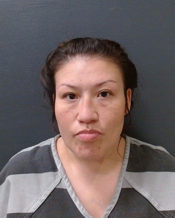 PERENA, TANYA ELENA arrest record in Comal County, Texas PERENA, TANYA ELENA arrested in Comal County, Texas mugshot