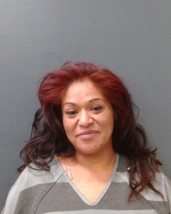 ALEMAN, ELIZABETH arrest record in Comal County, Texas ALEMAN, ELIZABETH arrested in Comal County, Texas mugshot