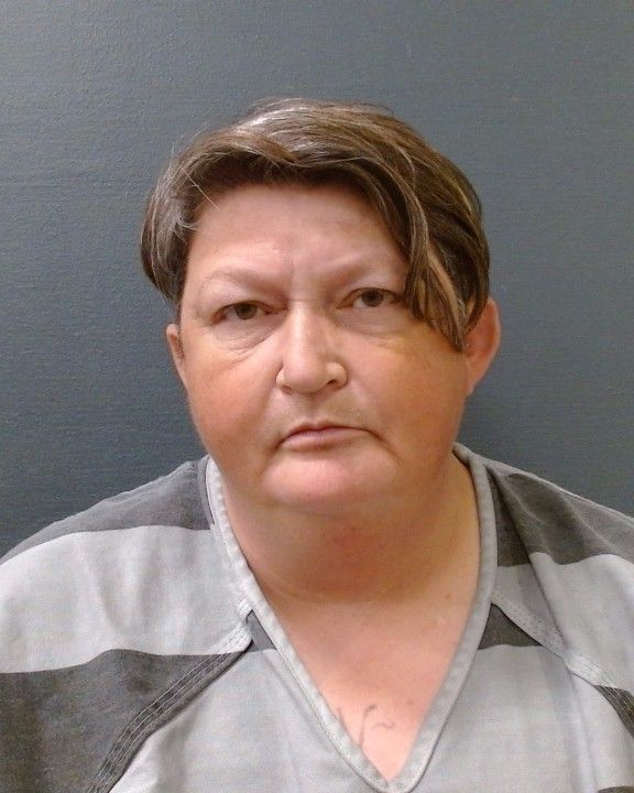 ROSCOE, TANYA JEAN arrest record in Comal County, Texas ROSCOE, TANYA JEAN arrested in Comal County, Texas mugshot