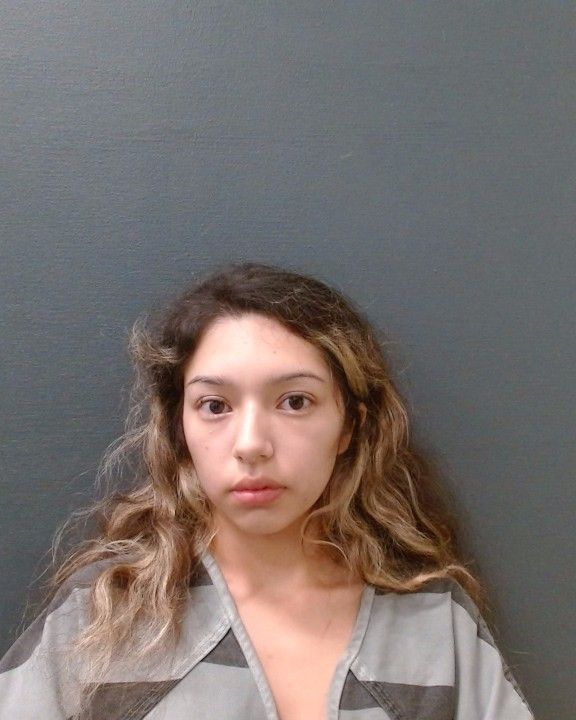 HERNANDEZ, ELIZABETH arrest record in Comal County, Texas HERNANDEZ, ELIZABETH arrested in Comal County, Texas mugshot
