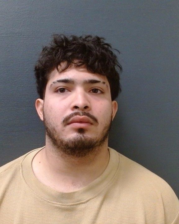 MEDINA, RONALD ROBERTO arrest record in Comal County, Texas MEDINA, RONALD ROBERTO arrested in Comal County, Texas mugshot