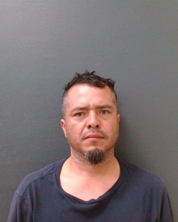 OCHOA PINA, GABRIEL arrest record in Comal County, Texas OCHOA PINA, GABRIEL arrested in Comal County, Texas mugshot