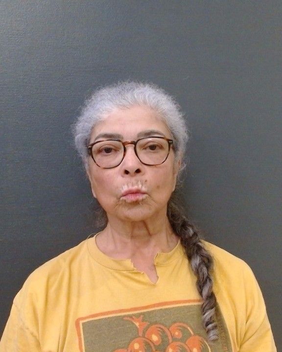 MAYTON, DINORAH ELIZABETH arrest record in Comal County, Texas MAYTON, DINORAH ELIZABETH arrested in Comal County, Texas mugshot