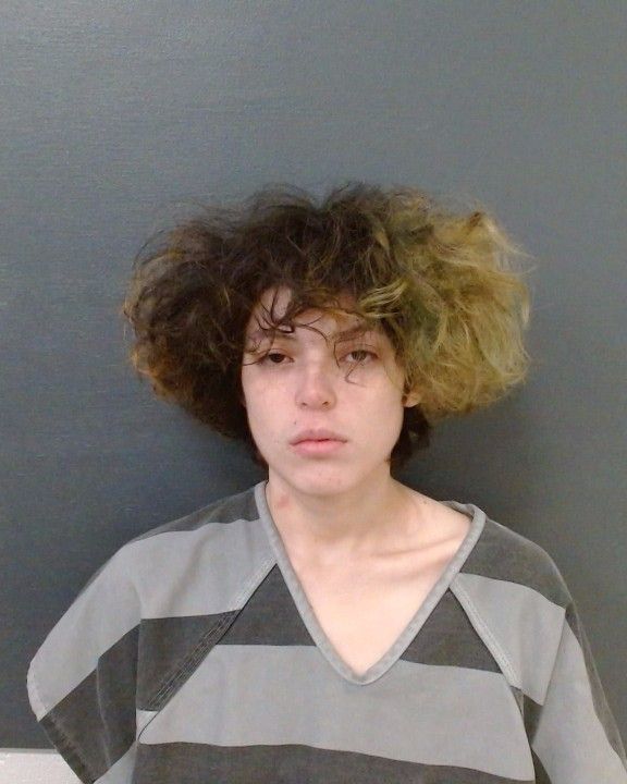 Tristan, Kaytlynn arrest record in Comal County, Texas Tristan, Kaytlynn arrested in Comal County, Texas mugshot