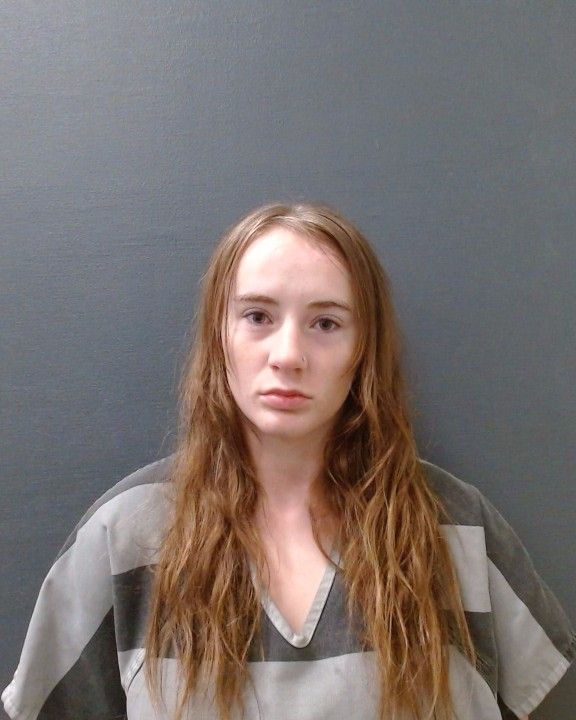 ATKINS, ELIZA RAIN arrest record in Comal County, Texas ATKINS, ELIZA RAIN arrested in Comal County, Texas mugshot