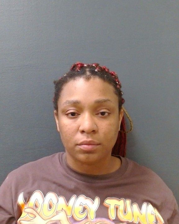 MCGEE, ARIEL DOMONIQUE arrest record in Comal County, Texas MCGEE, ARIEL DOMONIQUE arrested in Comal County, Texas mugshot