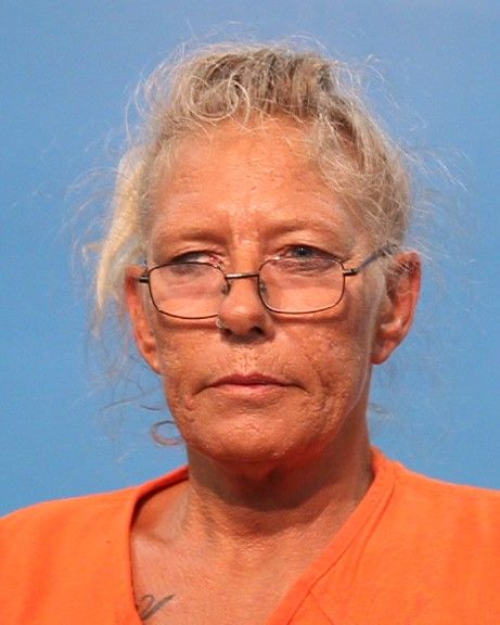 Henson, Sherry arrest record in Brazoria County, Texas Henson, Sherry arrested in Brazoria County, Texas mugshot