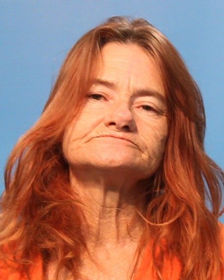 Loflin, Cora arrest record in Brazoria County, Texas Loflin, Cora arrested in Brazoria County, Texas mugshot