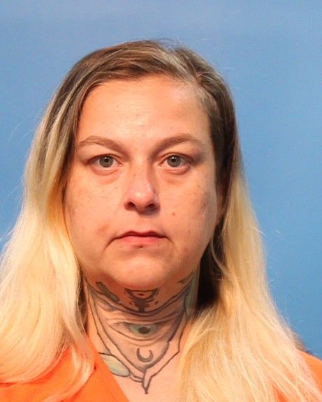 LAIRD, SUSAN A arrest record in Brazoria County, Texas LAIRD, SUSAN A arrested in Brazoria County, Texas mugshot