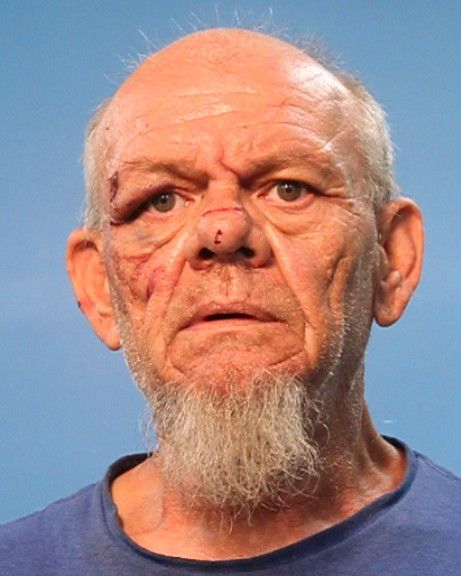 TOSI, CARL arrest record in Brazoria County, Texas TOSI, CARL arrested in Brazoria County, Texas mugshot