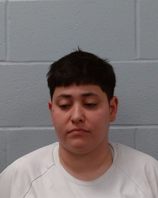 Phipps, Jazmine Nicole arrest record in Hays County, Texas Phipps, Jazmine Nicole arrested in Hays County, Texas mugshot