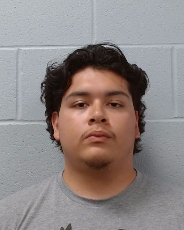 Pauta, Jose Emilio arrest record in Hays County, Texas Pauta, Jose Emilio arrested in Hays County, Texas mugshot
