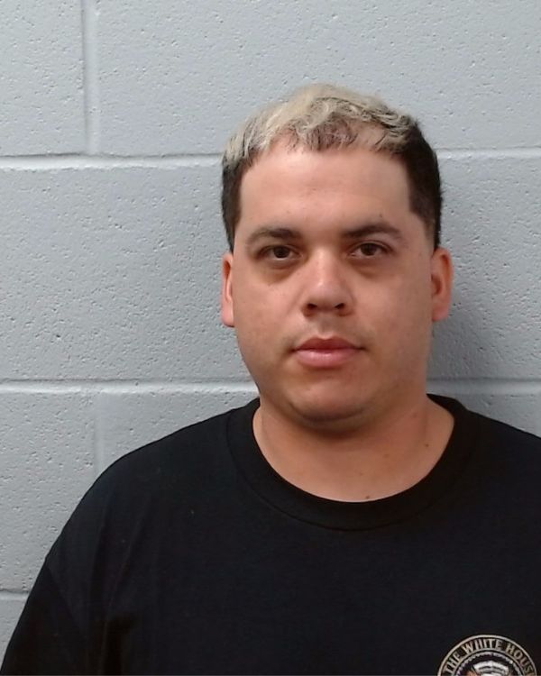 Reyes, Rodolfo arrest record in Hays County, Texas Reyes, Rodolfo arrested in Hays County, Texas mugshot