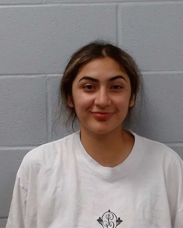 Castillo, Amy Sarahi arrest record in Hays County, Texas Castillo, Amy Sarahi arrested in Hays County, Texas mugshot
