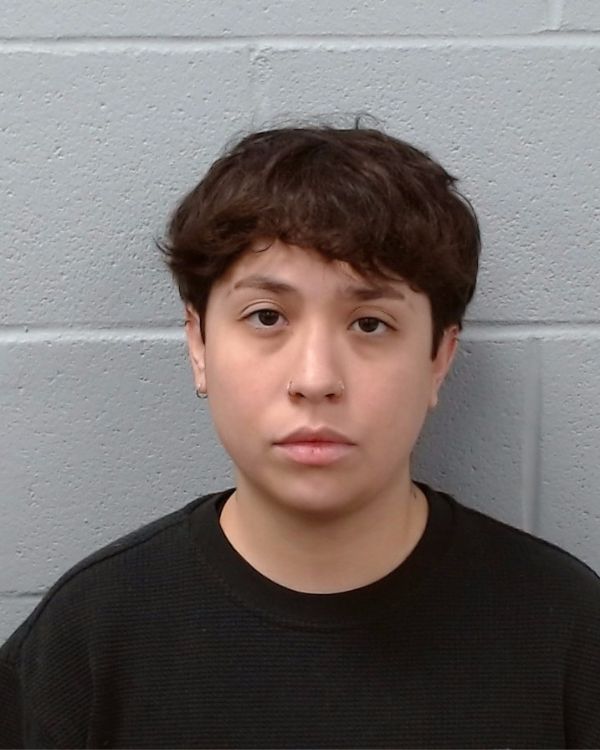 Diaz Galicia, Ana Laura arrest record in Hays County, Texas Diaz Galicia, Ana Laura arrested in Hays County, Texas mugshot
