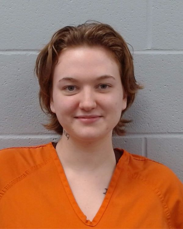 Harvey, Grace arrest record in Hays County, Texas Harvey, Grace arrested in Hays County, Texas mugshot