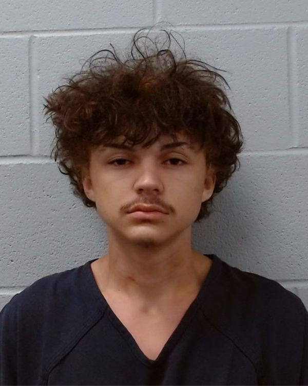 Gomez, Aiden arrest record in Hays County, Texas Gomez, Aiden arrested in Hays County, Texas mugshot