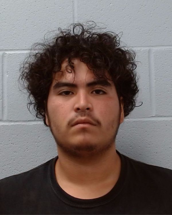 CASTILLON, FAUSTO D arrest record in Hays County, Texas CASTILLON, FAUSTO D arrested in Hays County, Texas mugshot