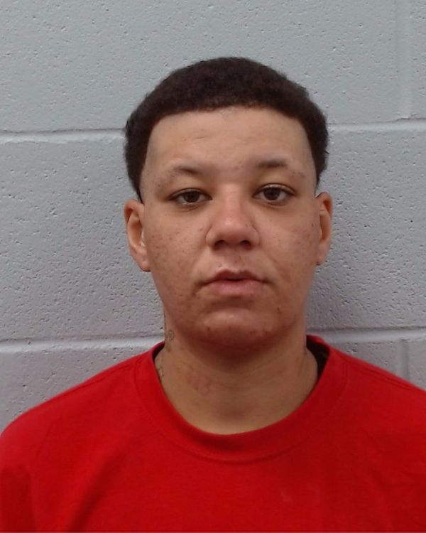 Raymond, Grace Renee arrest record in Hays County, Texas Raymond, Grace Renee arrested in Hays County, Texas mugshot