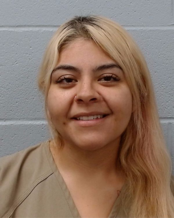 Dienst, Deborah Alexandra arrest record in Hays County, Texas Dienst, Deborah Alexandra arrested in Hays County, Texas mugshot
