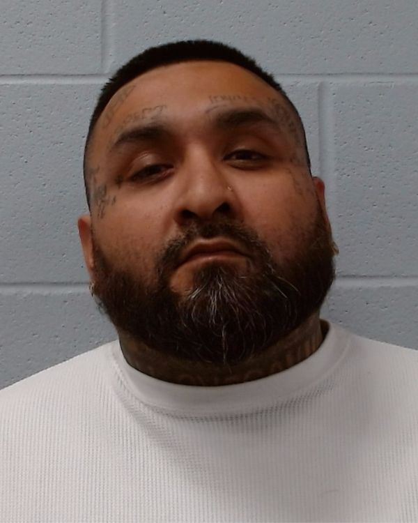 Flores, Luis Enrique arrest record in Hays County, Texas Flores, Luis Enrique arrested in Hays County, Texas mugshot