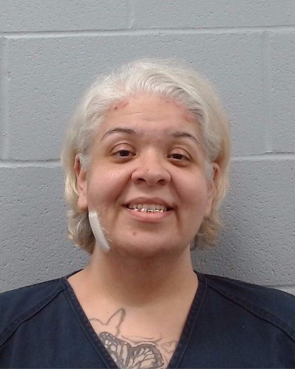 Maese, Stephanie Ann arrest record in Hays County, Texas Maese, Stephanie Ann arrested in Hays County, Texas mugshot
