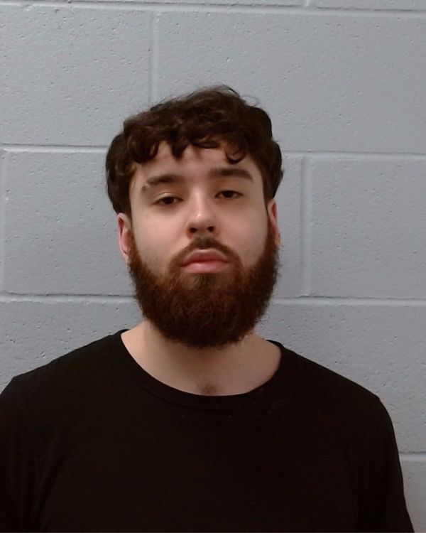 Ehrler, Daniel Walker arrest record in Hays County, Texas Ehrler, Daniel Walker arrested in Hays County, Texas mugshot