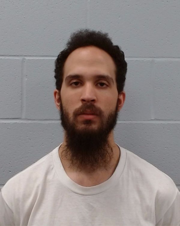 Meheen, John Bernard arrest record in Hays County, Texas Meheen, John Bernard arrested in Hays County, Texas mugshot