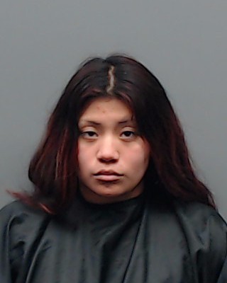 GORDON, NENA arrest record in Smith County, Texas GORDON, NENA arrested in Smith County, Texas mugshot