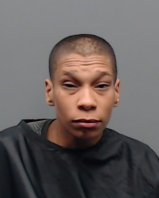 REEVES, ROBIN REBECCA arrest record in Smith County, Texas REEVES, ROBIN REBECCA arrested in Smith County, Texas mugshot