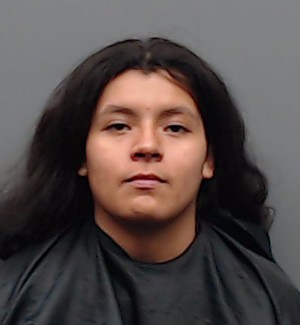 HERNANDEZ, BREANNA arrest record in Smith County, Texas HERNANDEZ, BREANNA arrested in Smith County, Texas mugshot