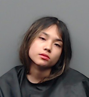 GOMEZ, MELISSA arrest record in Smith County, Texas GOMEZ, MELISSA arrested in Smith County, Texas mugshot