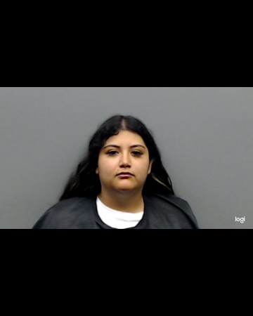 VALDIVIA GAMEZ, KEYLA STACY arrest record in Smith County, Texas VALDIVIA GAMEZ, KEYLA STACY arrested in Smith County, Texas mugshot