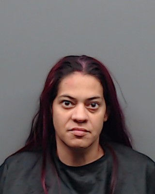 BAHENA, HEATHER arrest record in Smith County, Texas BAHENA, HEATHER arrested in Smith County, Texas mugshot