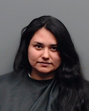 SARMIENTO, STEPHANIE arrest record in Smith County, Texas SARMIENTO, STEPHANIE arrested in Smith County, Texas mugshot