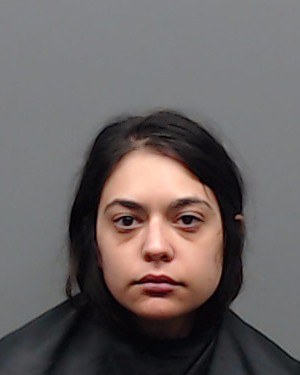 HOLLENBECK, ALEXANDRIA arrest record in Smith County, Texas HOLLENBECK, ALEXANDRIA arrested in Smith County, Texas mugshot