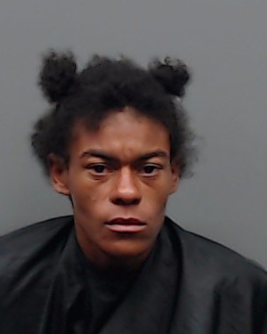 JOHNSON, JAMEKA ANN arrest record in Smith County, Texas JOHNSON, JAMEKA ANN arrested in Smith County, Texas mugshot