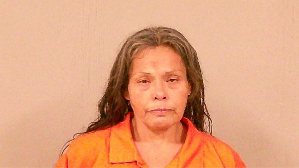 LERMA, ALICE MARIE arrest record in Burnet County, Texas LERMA, ALICE MARIE arrested in Burnet County, Texas mugshot