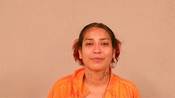 VILLAESCUSA-ACOSTA, DALIA arrest record in Burnet County, Texas VILLAESCUSA-ACOSTA, DALIA arrested in Burnet County, Texas mugshot