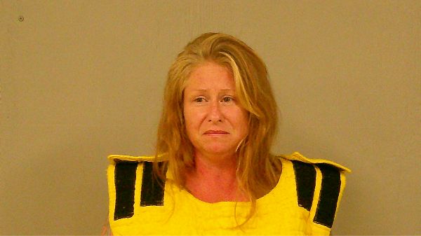 SILVA, SHANNON MICHELLE arrest record in Burnet County, Texas SILVA, SHANNON MICHELLE arrested in Burnet County, Texas mugshot