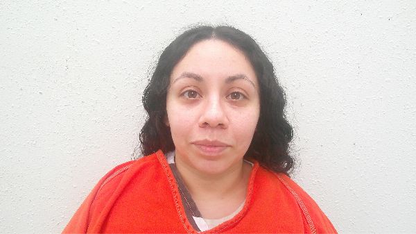 GARZA, ALYSSA MARIE arrest record in Burnet County, Texas GARZA, ALYSSA MARIE arrested in Burnet County, Texas mugshot