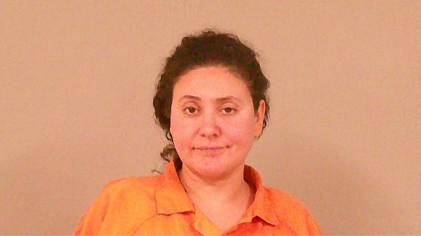 BOUARDI, AFAF OUDDA arrest record in Burnet County, Texas BOUARDI, AFAF OUDDA arrested in Burnet County, Texas mugshot