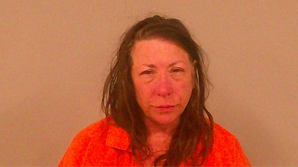 FERGUSON, TAMMIE DARLENE arrest record in Burnet County, Texas FERGUSON, TAMMIE DARLENE arrested in Burnet County, Texas mugshot