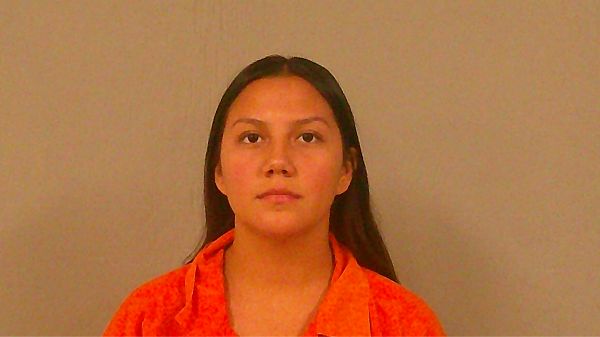 SANCHEZ, LIZBETH VALERIA arrest record in Burnet County, Texas SANCHEZ, LIZBETH VALERIA arrested in Burnet County, Texas mugshot