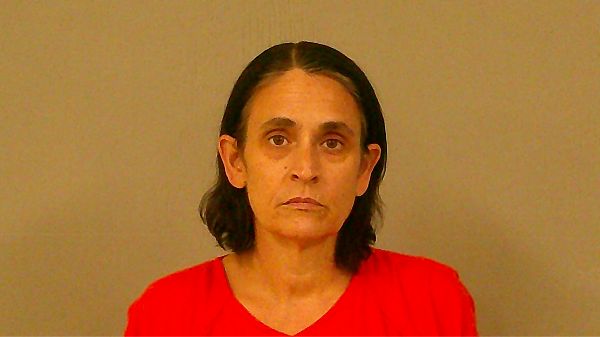 HARRIS, KRISTINE arrest record in Burnet County, Texas HARRIS, KRISTINE arrested in Burnet County, Texas mugshot