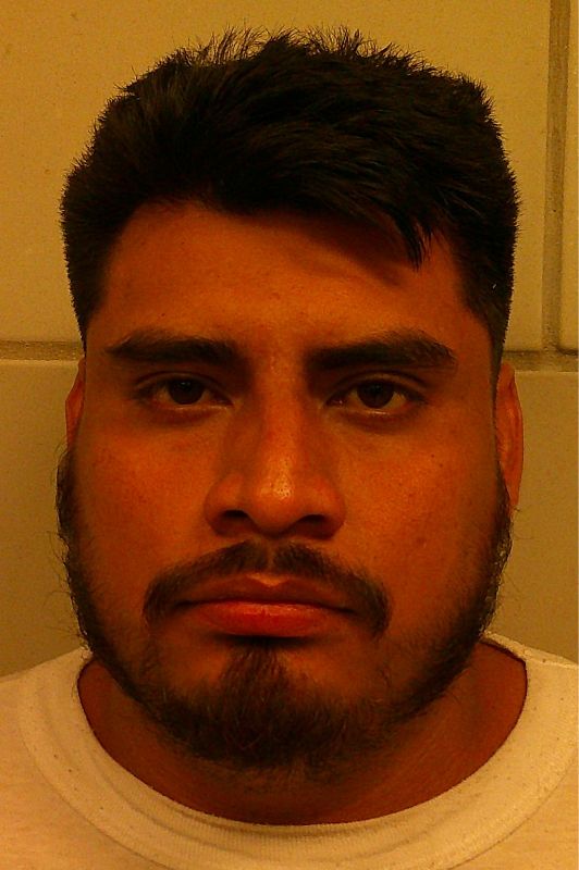 VENTURA-FLORES, FRANCISCO arrest record in Burnet County, Texas VENTURA-FLORES, FRANCISCO arrested in Burnet County, Texas mugshot